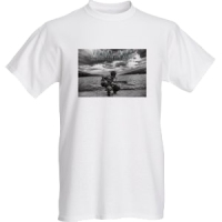 Basic T-shirts, Back To Normal &amp; Beyond